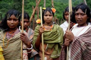 Read more about the article Major Tribes in India